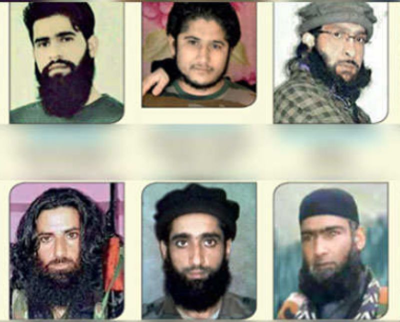 Hizbul Commander Burhan Wani's relative KIA