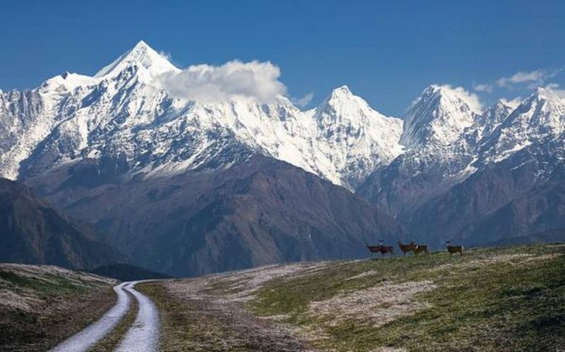 Himalayas  Himalayas