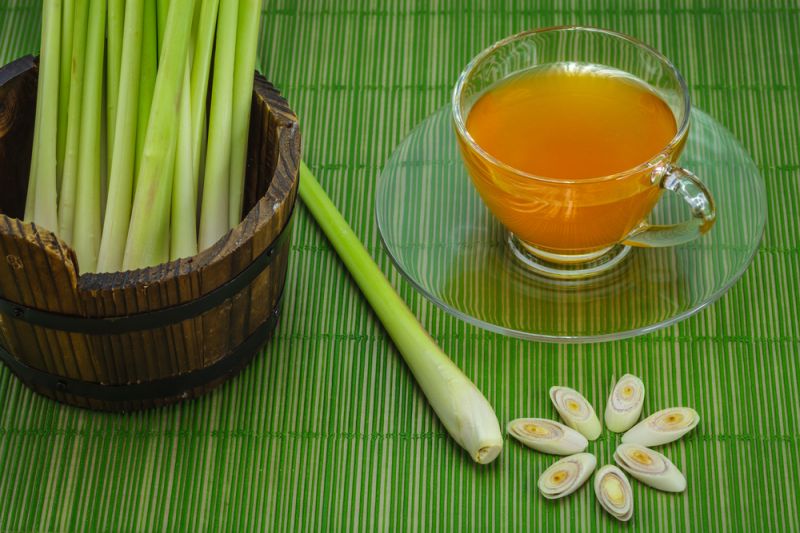 Lemon Grass Tea Lemon Grass Tea