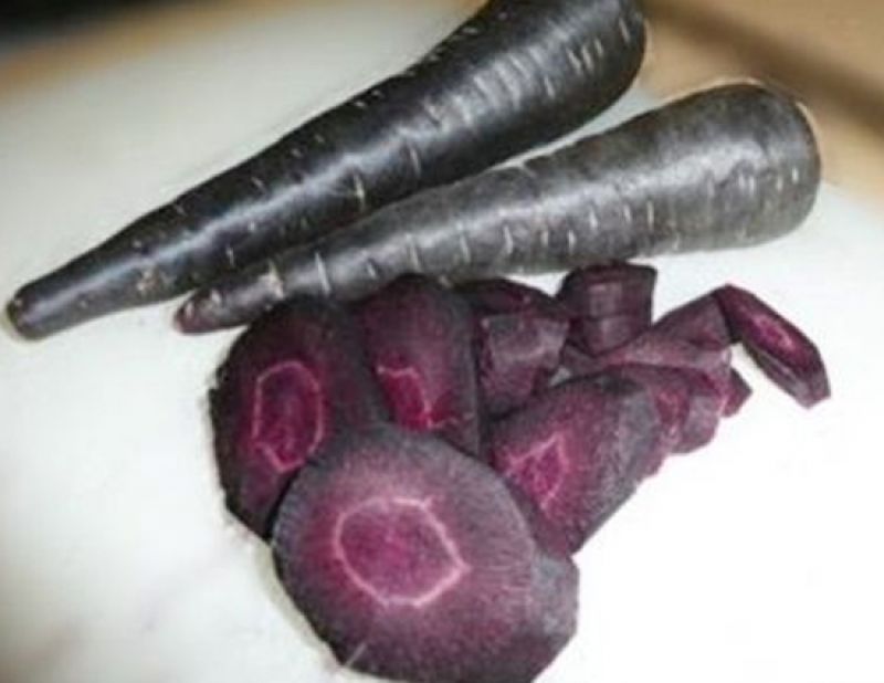 black carrot 