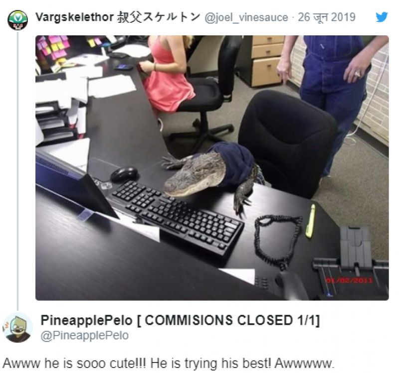 Crocodile in Office Photo goes viral