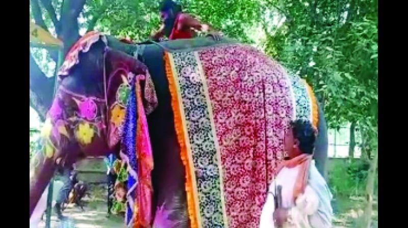 Ramdev falls from elephant while doing yoga