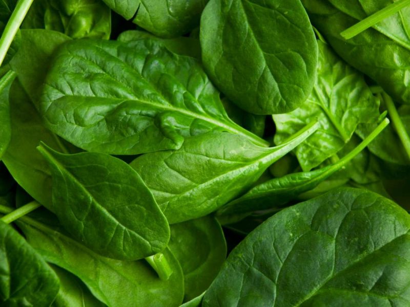 Iron In Spinach