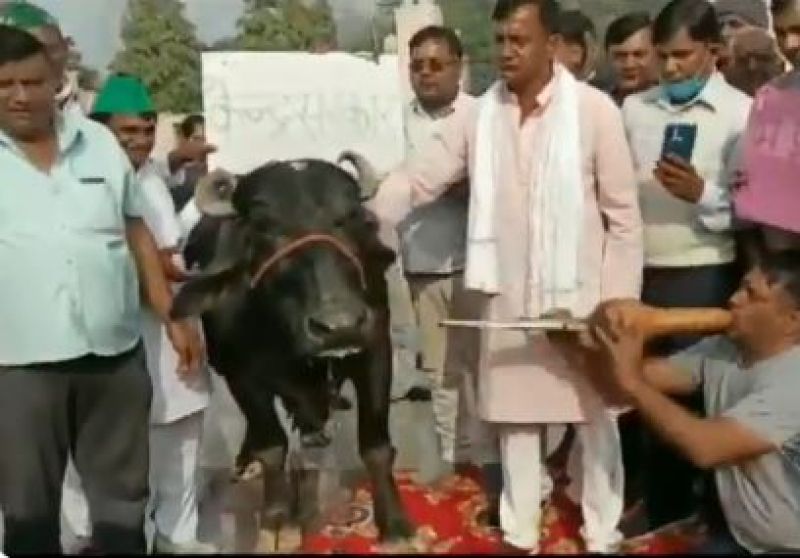 Farmers Protest