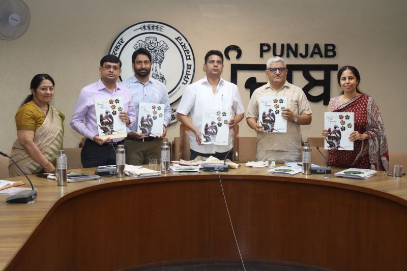 Single-Use Plastic Banned From July 