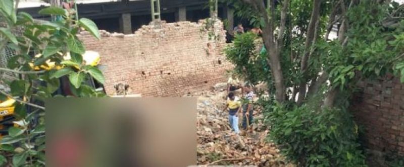 12 buffaloes die in roof collapse of dairy complex in Ludhiana