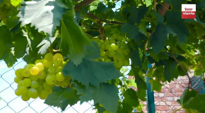 Khetan De Putt Interview