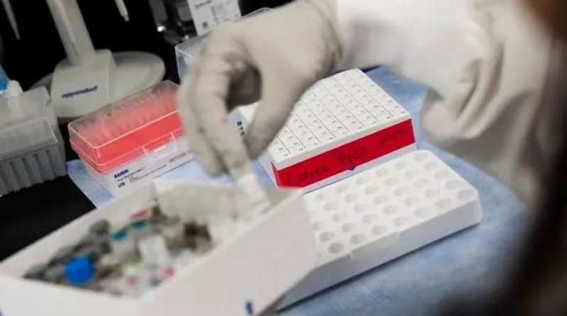 Corona Virus Vaccine  Corona Virus Vaccine