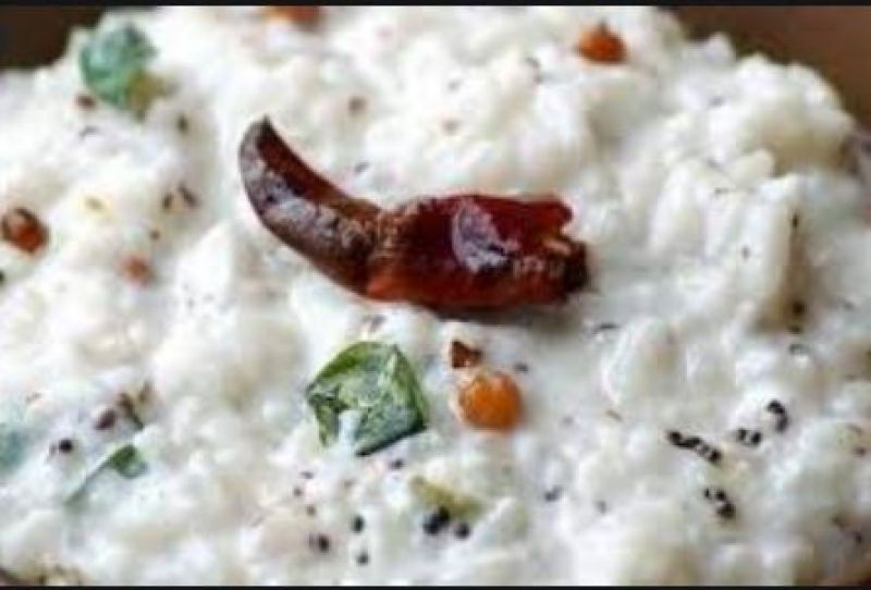 Curd Rice