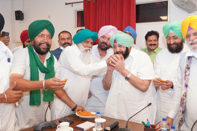 Punjab government has increased the price of sugarcane by Rs 35 Punjab government has increased the price of sugarcane by Rs 35