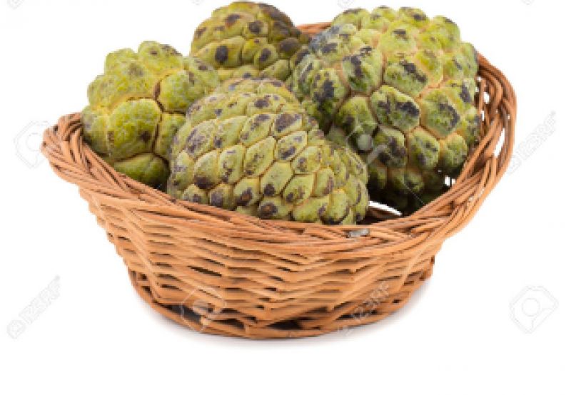 Custard apple  Custard apple