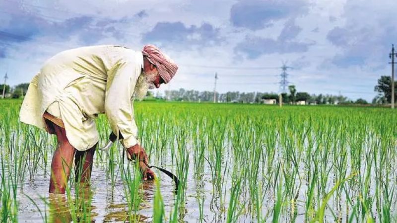 Farmers Farmers