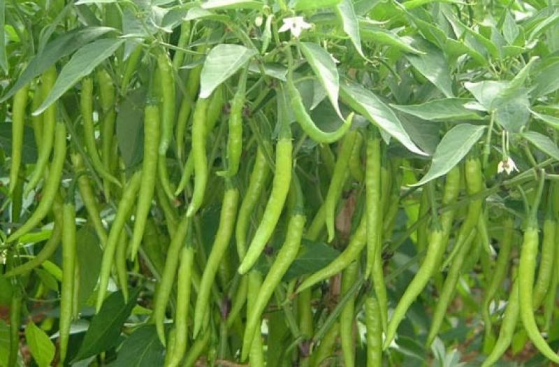 file photo file photo