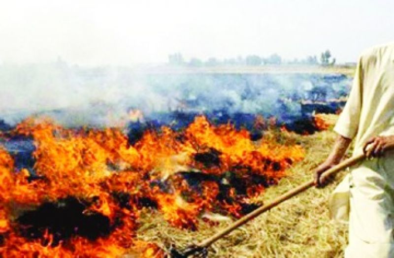 Stubble burning