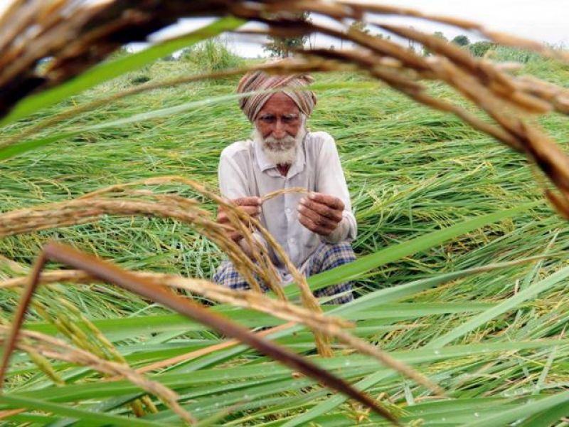 Farmers Farmers