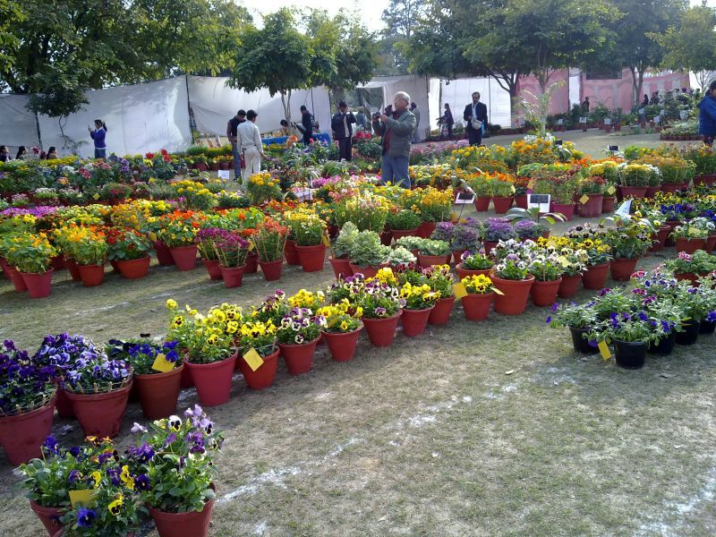 Nehru Rose Garden 