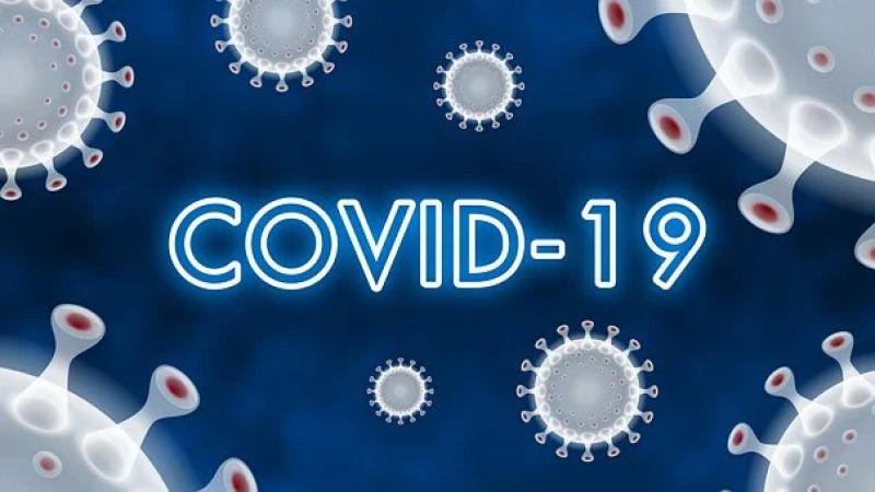 Corona Virus Corona Virus