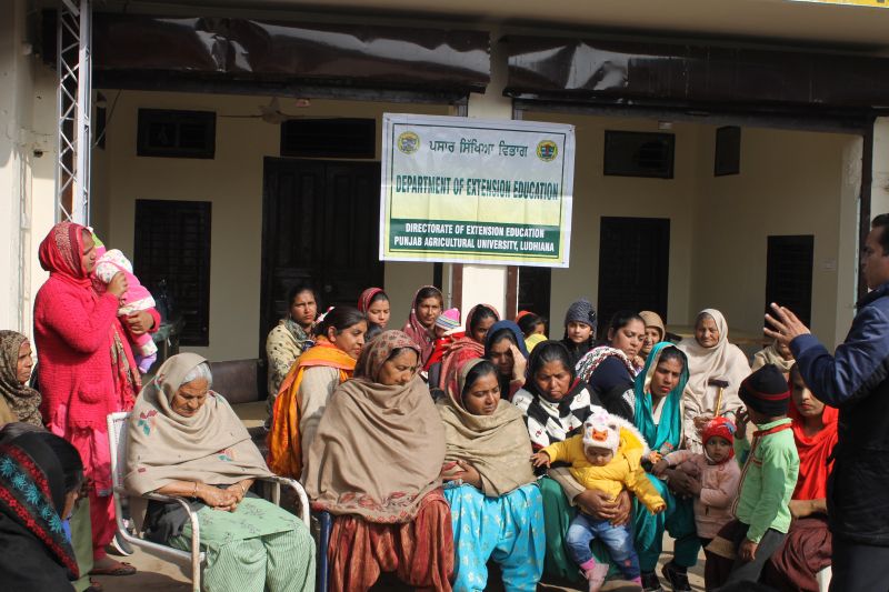 PAU held special events