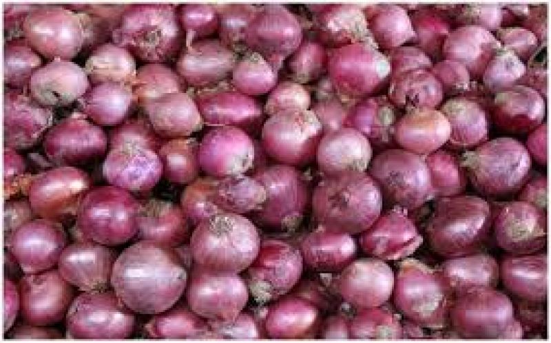 onion theft in bihar onion theft in bihar