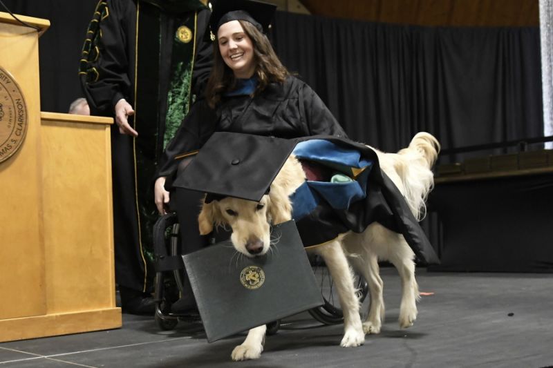 Dog gets diploma