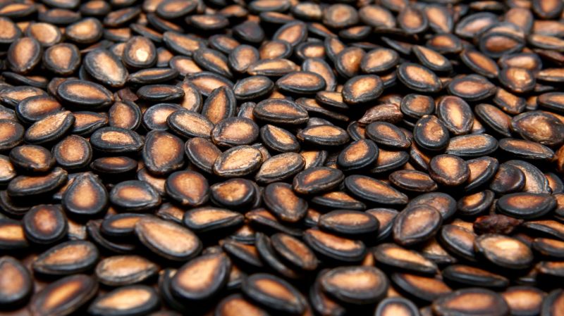 Watermelon seeds Watermelon seeds
