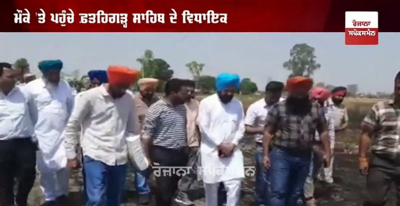 32 acres of wheat crop burnt to ashes