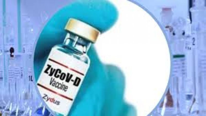 Expert panel recommends EUA for Zydus' three-dose Covid vaccine: Report