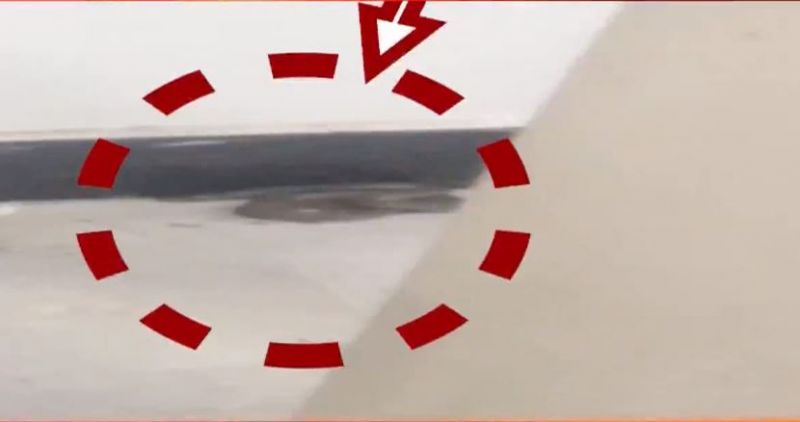 Haryana Secretariat office Snake News in punjabi   Haryana Secretariat office Snake News in punjabi