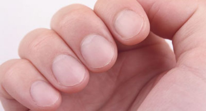 nails nails