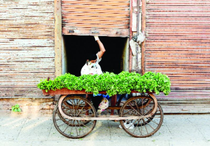 ਦੇਸ਼ਪਧਰੀ ਬੰਦ ਦੌਰਾਨ ਜਲੰਧਰ 'ਚ ਇਕ ਸਬਜ਼ੀਆਂ ਵੇਚਣ ਵਾਲਾ ਰੇੜ੍ਹੀ ਲਾ ਕੇ ਬੈਠਾ ਹੋਇਆ। 