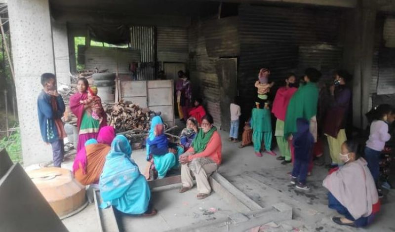  A five-year-old girl was killed in a leopard attack in Shimla