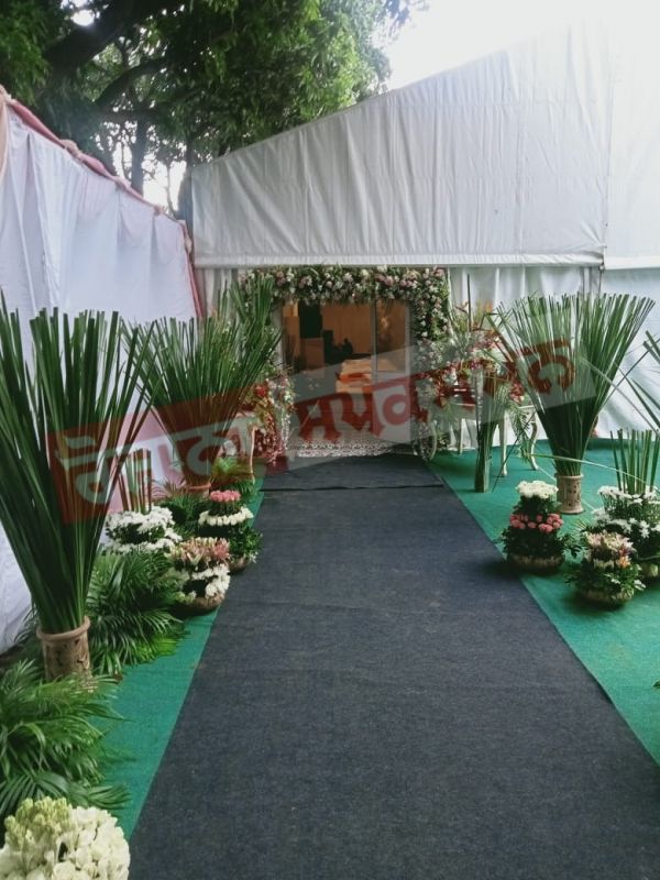 Marriage of CM Mann Marriage of CM Mann