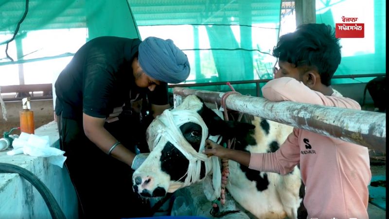 Kamdhenu Gau Dhaam Trust Amritsar Kamdhenu Gau Dhaam Trust Amritsar