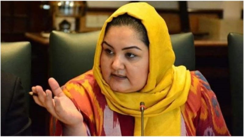 Afghan woman MP says flew to Delhi last week, deported