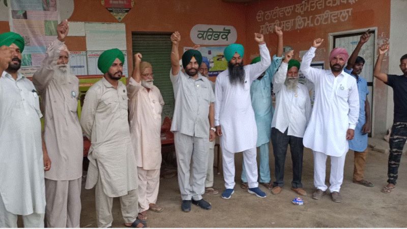 Urea fertilizer is not reaching the farmers Urea fertilizer is not reaching the farmers