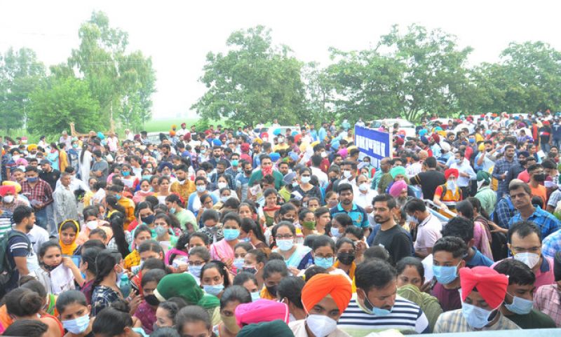 Punjab Patwari Recruitment 