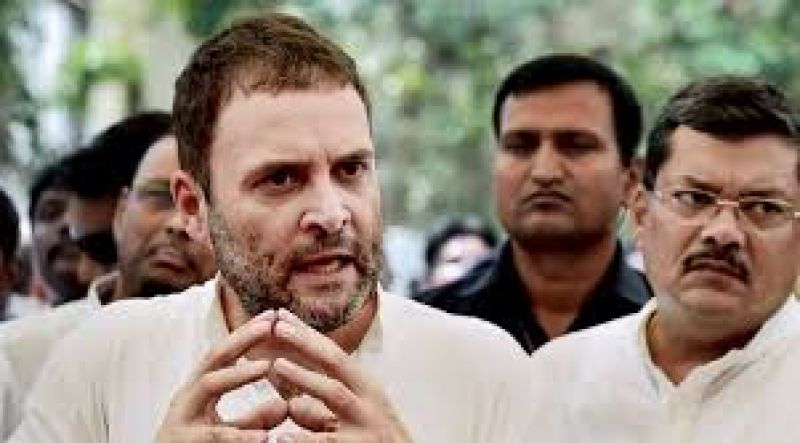 does not want  BJP free India: Rahul Gandhi