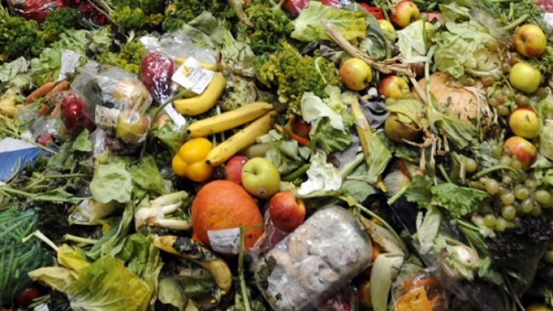 waste food