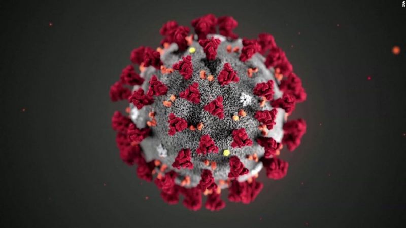 Corona Virus Corona Virus
