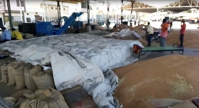 Grain Market  Grain Market