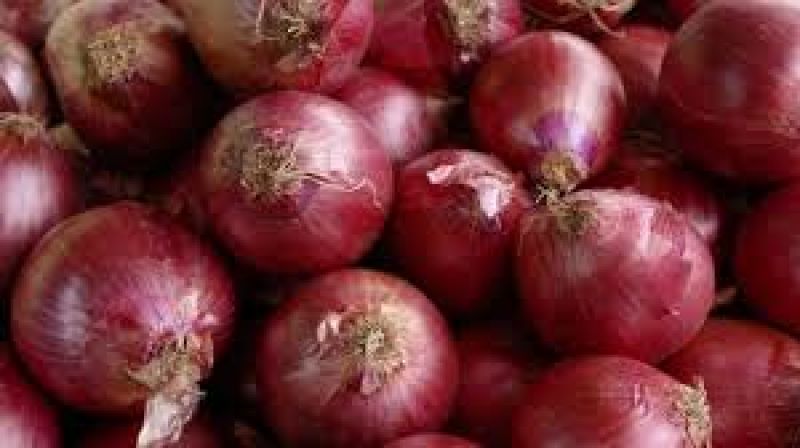 Onions Cheaper