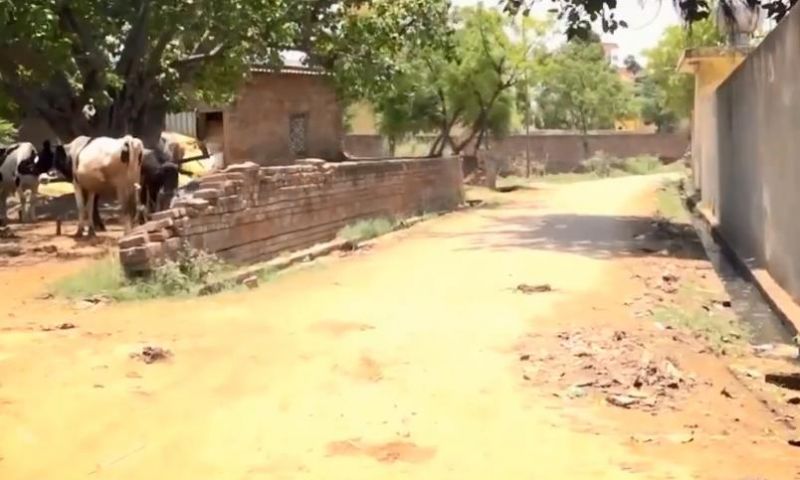 Healthy Punjab Mission-1