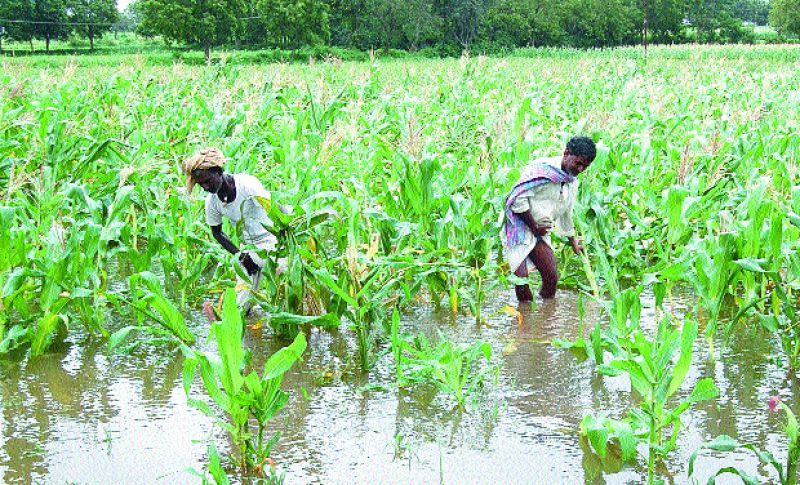 Kerala Flood