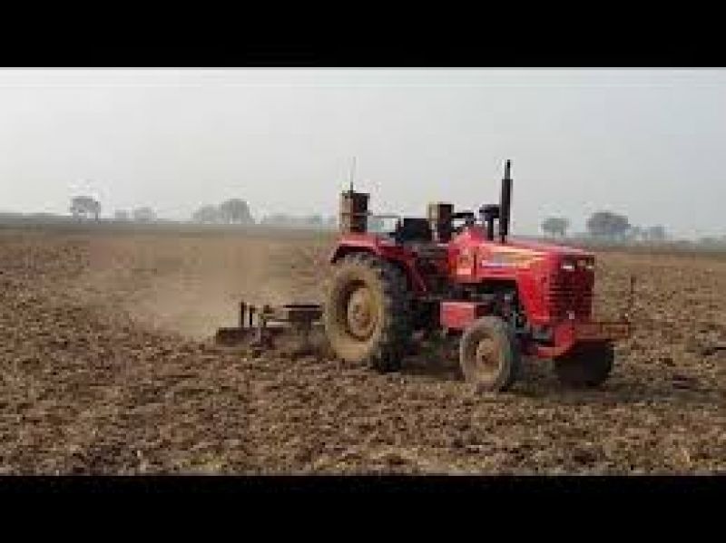  farming punjab