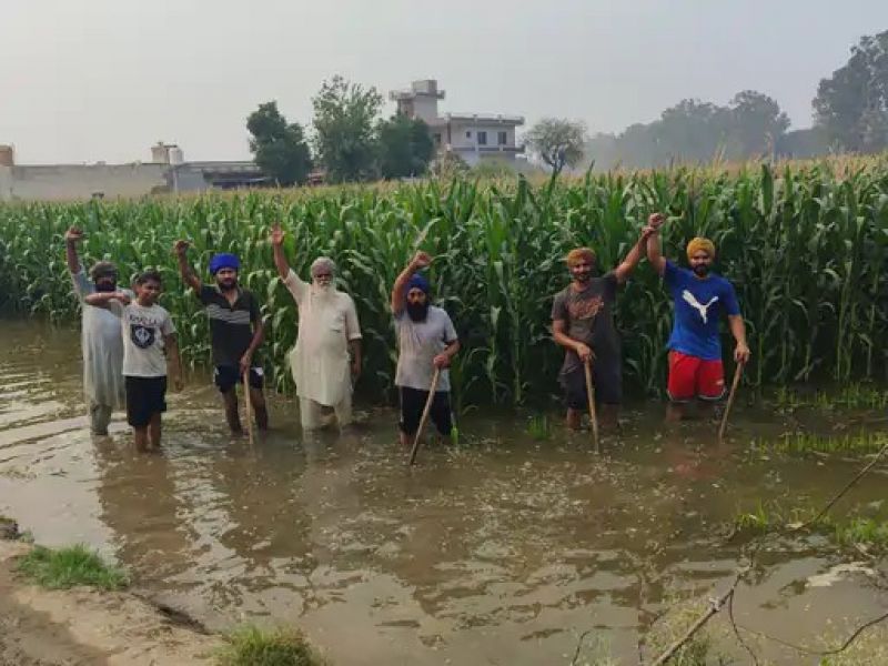 Barnala Rajbaha breaking farmers News in punjabi 