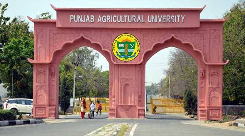 Punjab Agriculture univeristy