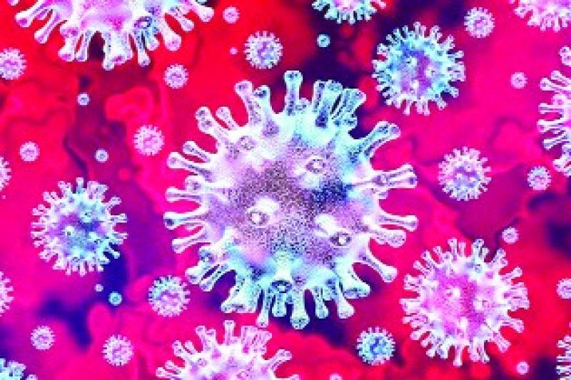 Corona Virus Corona Virus
