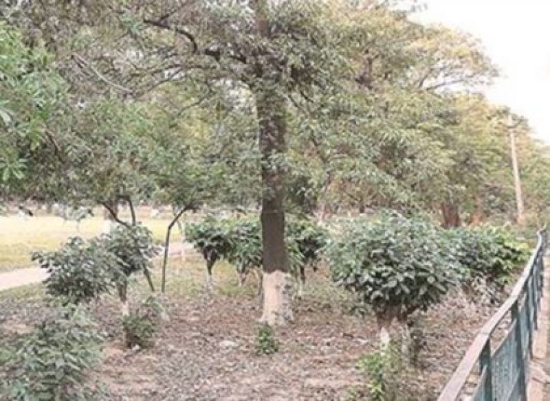 HC okays panel for examination of murky land deals around Chandigarh