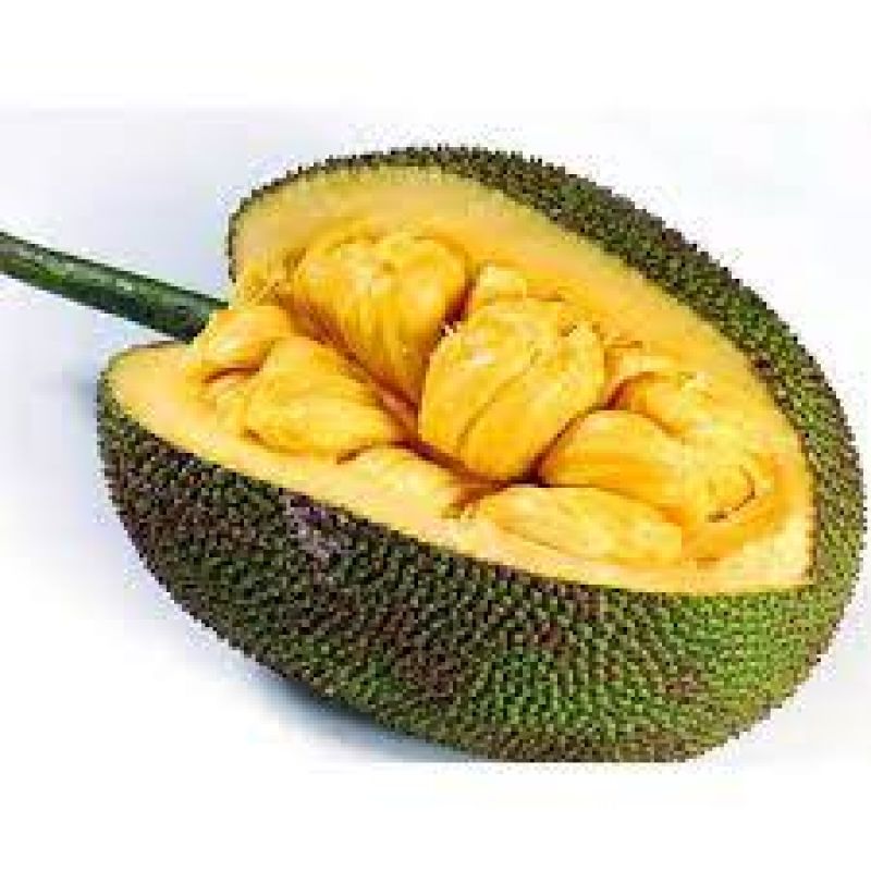  The benefits of eating jackfruit