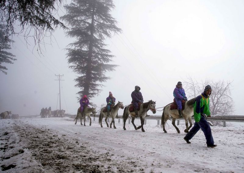 Heavy snowfall in Himachal Pradesh